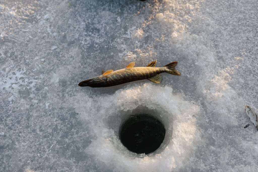 Ice fishing Utah