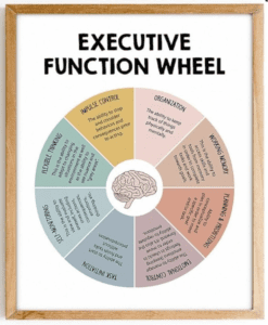 Executive Function Wheel Poster