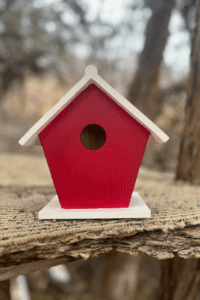 How To Create Simple DIY Birdhouse With Acrylic Paint