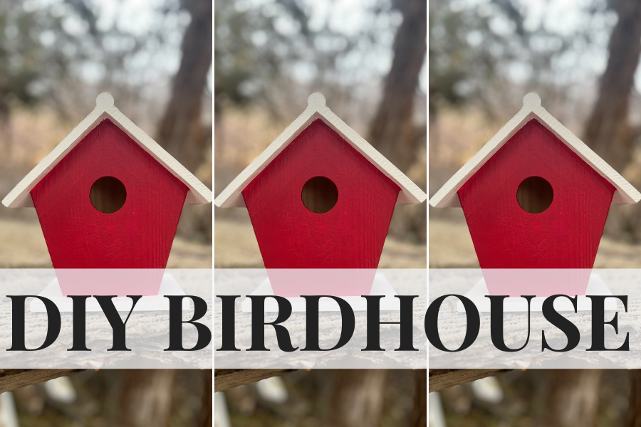 diy birdhouse